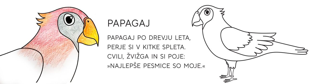 papagaj pobarvan-1100