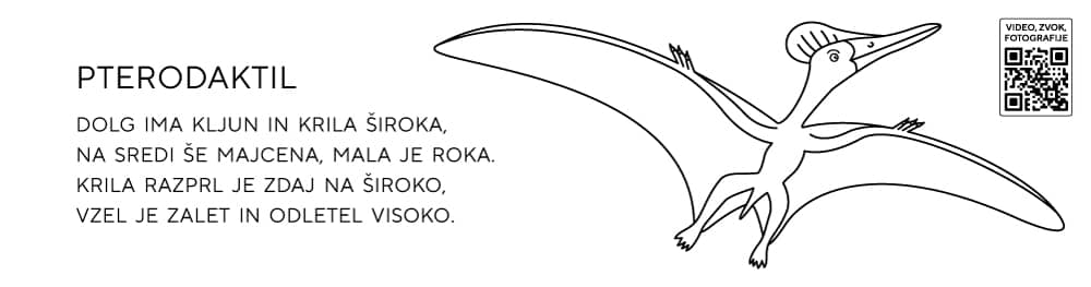 Pobarvanke dinozavri pterodaktil
