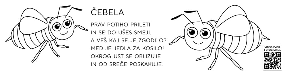 Pobarvanke živali čebela