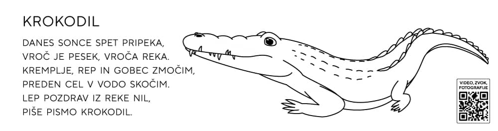 Pobarvanke živali krokodil